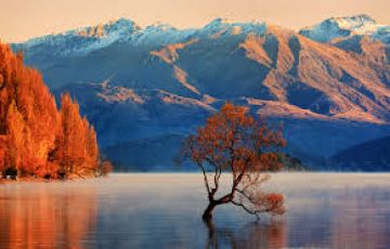 Experience 7 Days 6 Nights Christchurch, Kaikoura and New Zealand Friends Trip Package