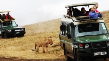 Amazing 16 Days 15 Nights Masai Mara - Lake Nakuru Trip Package
