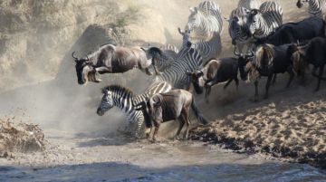 10 Days Arusha - Serengeti National Park Vacation Package