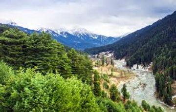 Experience 7 Days 6 Nights Patnitop Vacation Package