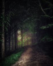 Magical 2 Days Delhi Holiday Package