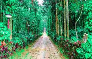 3 Days 2 Nights Coorg Tour Package