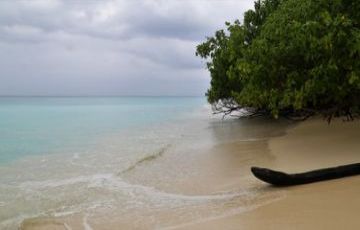Best 5 Days Port Blair and Havelock Island Trip Package