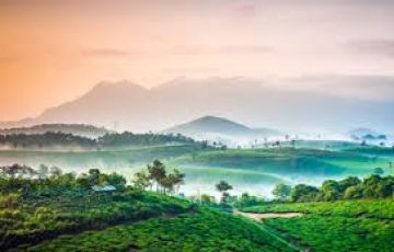 Best 3 Days Munnar and Cochin Tour Package