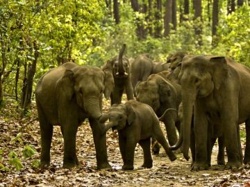 Memorable 6 Days 5 Nights Haridwar Tour Package