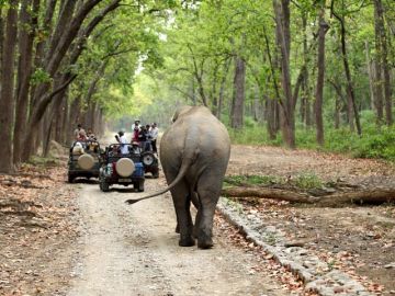 Haridwar and Rishikesh Tour Package from Rishikesh