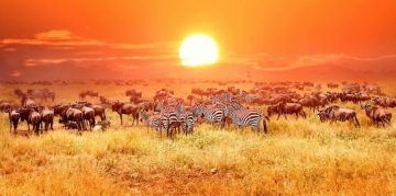 Memorable Jabalpur Tour Package for 2 Days