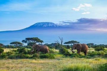 Magical Bangalore Tour Package for 3 Days 2 Nights from Coorg