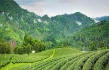 Pleasurable Gangtok Tour Package for 3 Days 2 Nights