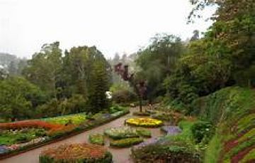 Ecstatic 4 Days 3 Nights Ooty Trip Package