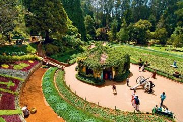 Experience 3 Days Ooty Trip Package