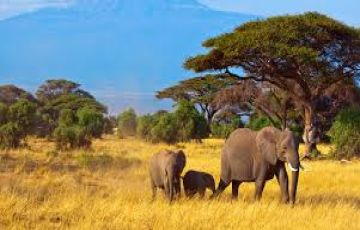 Johannesburg Friends Tour Package for 6 Days from Capetown