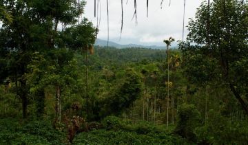 Amazing 5 Days Dalhousie with Dharamshala Holiday Package