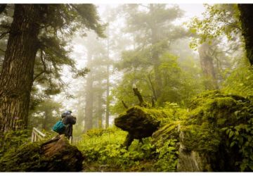 Memorable 2 Days Rishikesh Departure Back Home Vacation Package