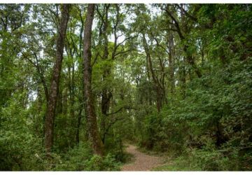 Heart-warming 2 Days 1 Night Head Towards Ranikhet From Kathgodam Trip Package