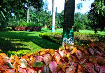 Family Getaway Arrival At Tirupati Tour Package for 2 Days 1 Night from A Day Of Fun And Leisure