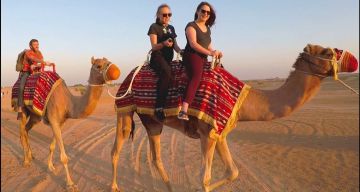 Amazing 3 Days 2 Nights Abu Dhabi Trip Package