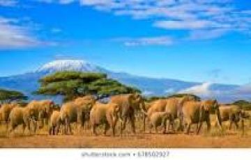 Beautiful 4 Days 3 Nights Kenya Holiday Package