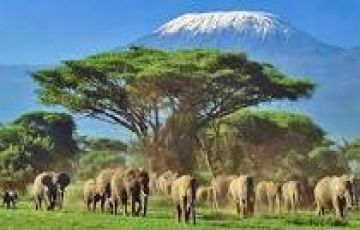 Tour Package for 4 Days 3 Nights from Kenya