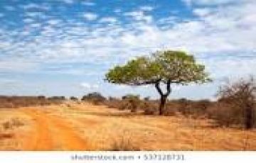 Magical 4 Days Kenya Trip Package