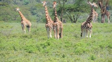 Best 16 Days Nairobi - Samburu National Reserve Holiday Package
