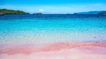 Memorable 3 Days 2 Nights Satonda Island - Donggo Or Kilo Beaches - Komodo Island Friends Vacation Package