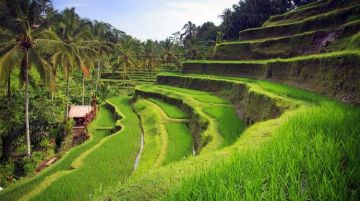 Ecstatic 7 Days Gili Asahan - Nusa Lembongan Tour Package