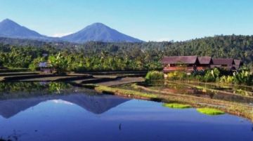 Memorable 8 Days 7 Nights Ubud, Canggu, Tour Of North Bali with Munduk Holiday Package