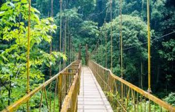 3 Days 2 Nights New Delhi to Coorg Trip Package
