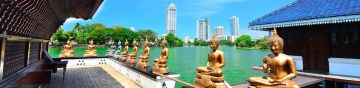 6 Days Colombo Airport Drop to Airport - Chilaw - Sigiriya Vacation Package