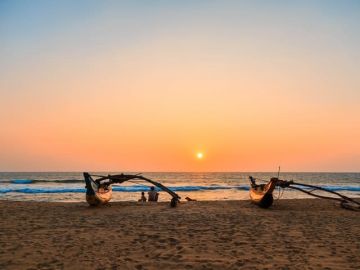 Best Kandy Tour Package for 3 Days 2 Nights from Kandy  Nuwara Eliya