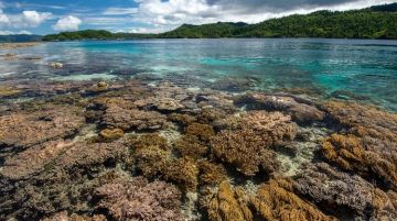 8 Days Sorong west Papua Indonesia, Palau Raja Ampat  Pulau Waigeo  Kabui Bay, Pulau Gam  Pulau Wayag and Alyui Bay  Pulau Arborek Holiday Package