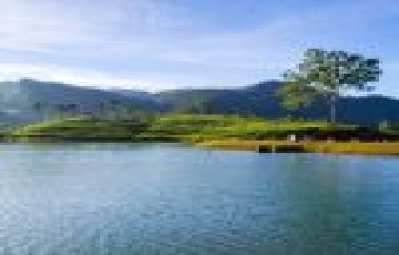 Beautiful Transfer To Kandy Tour Package for 3 Days 2 Nights from Kandy To Nuwara Eliya Scenic Day Tour
