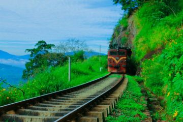 5 Days 4 Nights Transfer To Kandy Tour Package