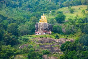 Ecstatic 3 Days City Transfer Sigiriya To Kandy with Kandy City Tour Tour Package