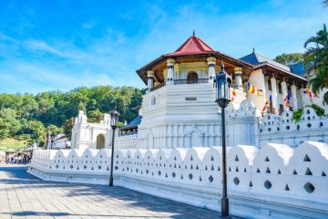 Experience 11 Days 10 Nights Kandy City Walks Relaxing City Tour Tour Package