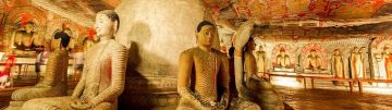 Memorable 6 Days Colombo to Dambulla Trip Package