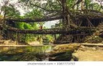 Ecstatic Cherrapunjee Tour Package for 5 Days from Guwahati