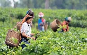 Experience 2 Days 1 Night Ranthambore Trip Package