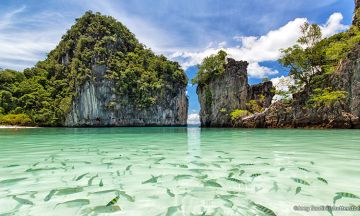 Experience 4 Days Phuket Phi Phi Island Vacation Package