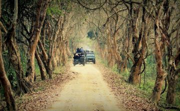 Kaziranga Tour Package for 2 Days 1 Night