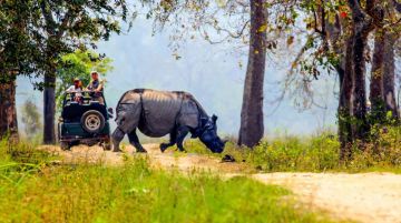 Kaziranga Tour Package for 2 Days 1 Night