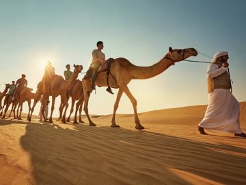 Beautiful 6 Days Desert Safari With Dinner  Optional Vacation Package