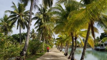Family Getaway 6 Days 5 Nights Nadi - Robinson Crusoe Island Trip Package