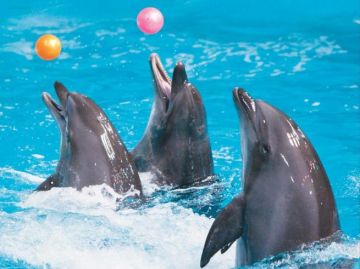 Heart-warming 3 Days 2 Nights Dubai Holiday Package