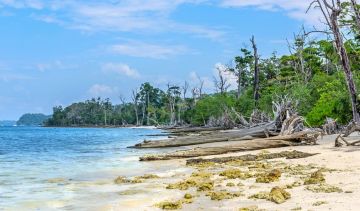 Magical Port Blair To Coral Island Tour Tour Package for 5 Days from Port Blair To Kolkata
