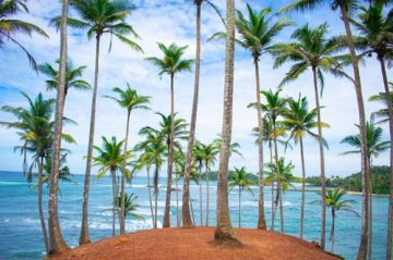 5 Days Colombo to Kandy Beach Vacation Package