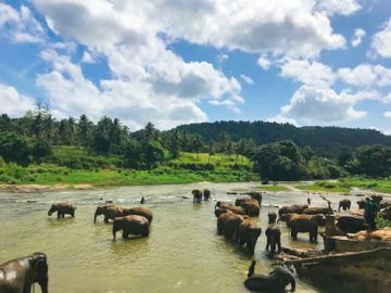 7 Days 6 Nights Unawatuna to Kandy Water Activities Trip Package