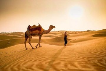 Family Getaway 5 Days Jaisalmer to Arrival At Jaipur Tour Package