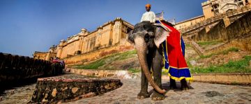 Family Getaway Jaipur - Shekhawati Tour Package for 8 Days from Mount Abu